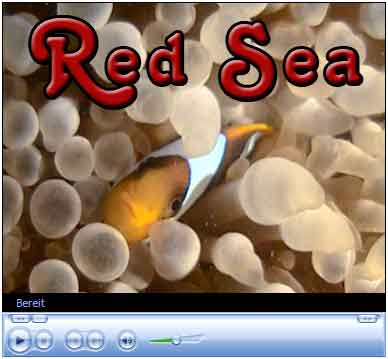 play movie